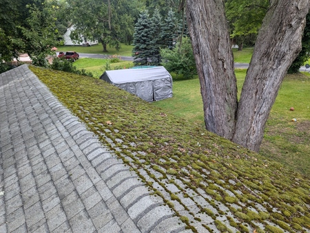 Soft Wash Roof Cleaning: Safely Removing Moss From Syracuse Roofs Thumbnail