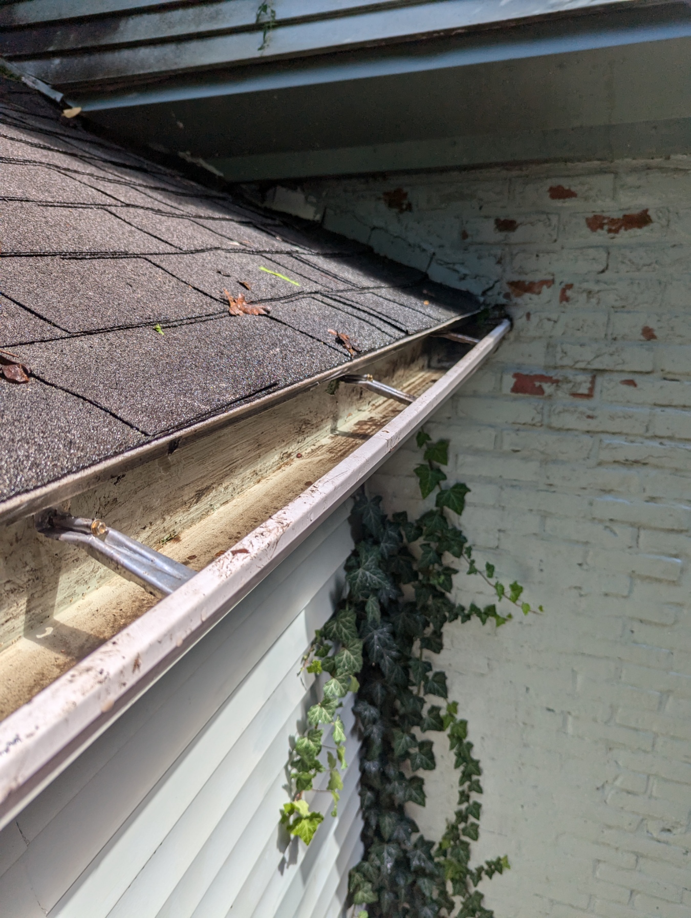 Gutter clean out in Lyons, New York  Thumbnail