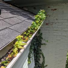 Gutter-clean-out-in-Lyons-New-York 0