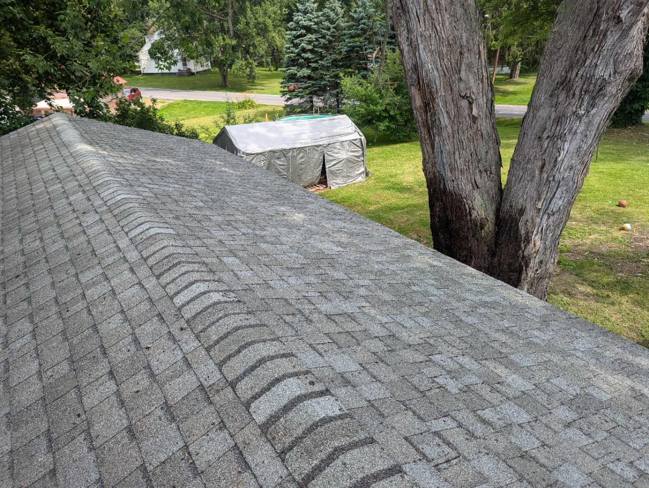 Peat Moss Roof Cleaning In Phoenix, Ny