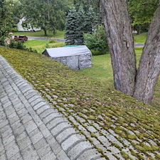 Peat-Moss-Roof-Cleaning-In-Phoenix-Ny 0